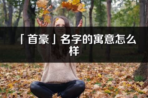 豪名字意思|豪的意思